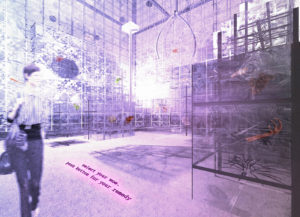 Portfolio image 3