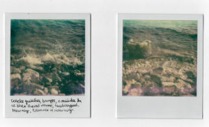 Video Still _Sea (E)scapes_, 2016, Courtesy of the Artist